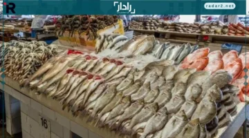 ارتفاع الأسعار.. موجة صعود جديدة تضرب سوق السمك والجمبري يوم الأحد 14 ديسمبر 2025